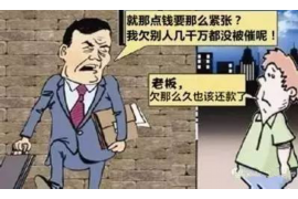 鹤岗债务清欠服务